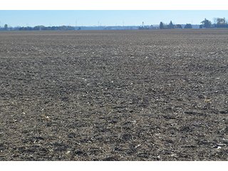 Tract 3 - FARMLAND AUCTION - 165.5+/- ACRES OFFERED IN 5 TRACTS OR COMBINATIONS IN EAST ALLEN COUNTY